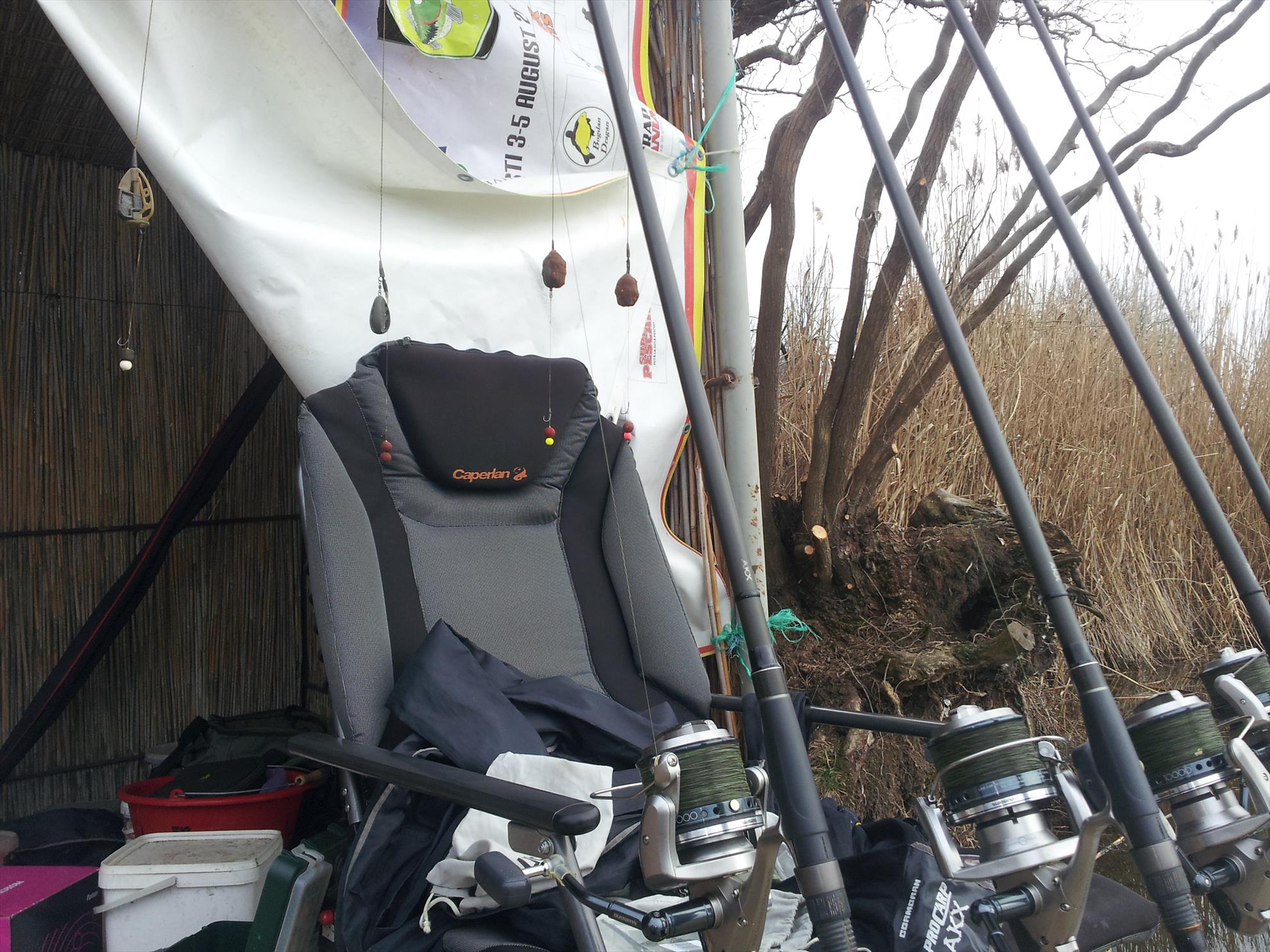 Tancabesti 1 - 2 mar. - 20140301150401.jpg